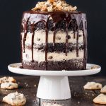 Here's 10 of the most amazing Dark Chocolate Cake Recipes you will ever try. From the cake layers, to the frosting. For a decadent and delicious dessert.